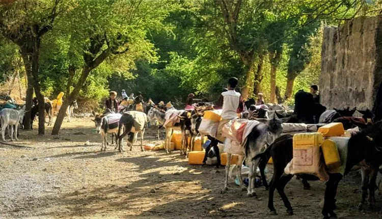 معاناة اليمنيين في الحصول على ماء الشرب، لاسيما في محافظة إب